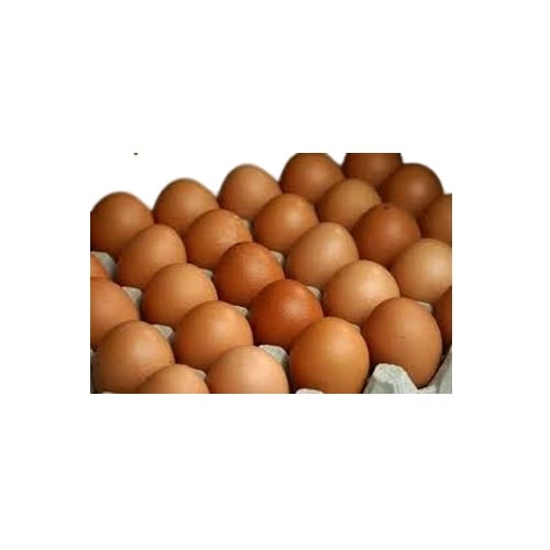 Chicken Brown Egg