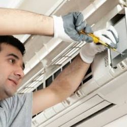 Service Detail