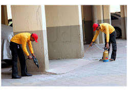 Service Detail