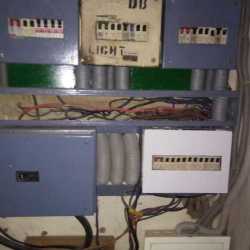Service Detail